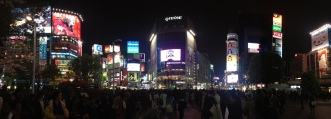 Shinjuku At Night 2015